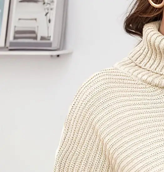 Women's Chunky Turtleneck Dress